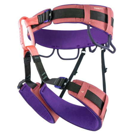 Система Beal Trinity