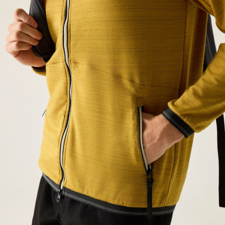 Чоловіча толстовка Regatta Malton