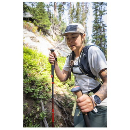 Трекінгові палиці Black Diamond Pursuit Carbon FLZ