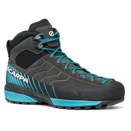 Чоловічі туристичні черевики Scarpa Mescalito Mid GTX чорний/синій