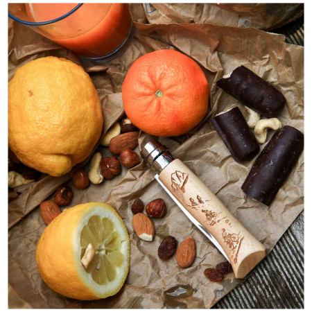 Ніж Opinel Vri N°8 Inox Biking