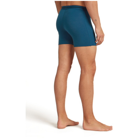 Чоловічі боксери Icebreaker Men Merino 150 Anatomica Boxers