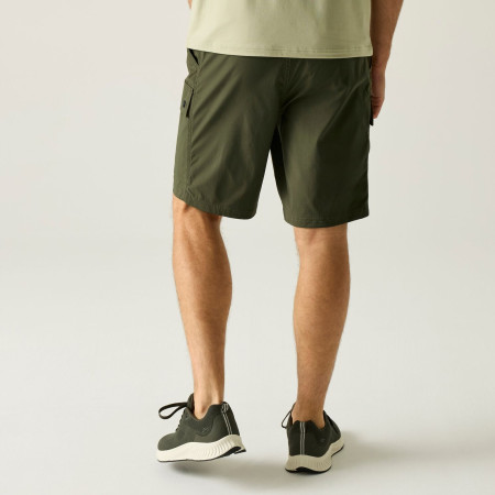 Чоловічі шорти Regatta Arlery Shorts