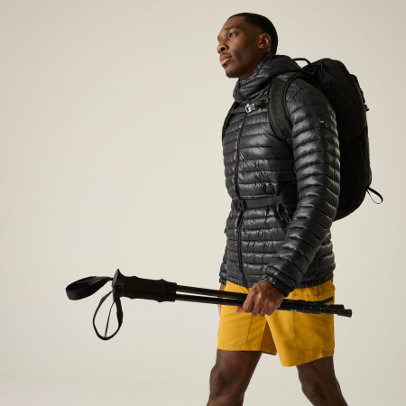 Чоловіча куртка Regatta Hurden