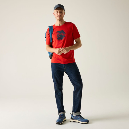 Чоловіча футболка Regatta Cline IX