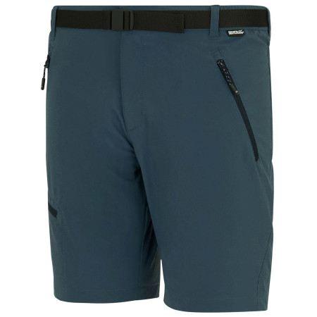 Чоловічі шорти Regatta Xert Stretch Shorts