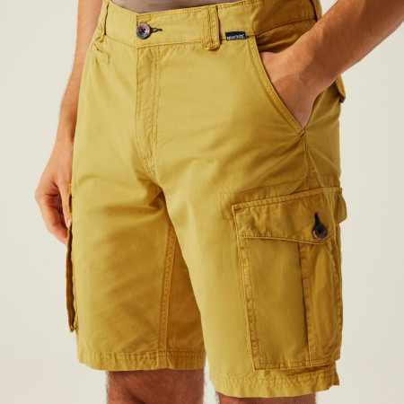 Чоловічі шорти Regatta Shorebay Shorts II