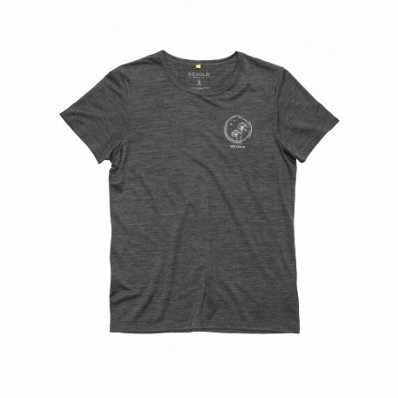 Жіноча футболка Devold Active "Spring" Tee Wmn