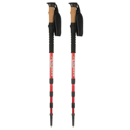 Трекінгові палиці Axon Quatro