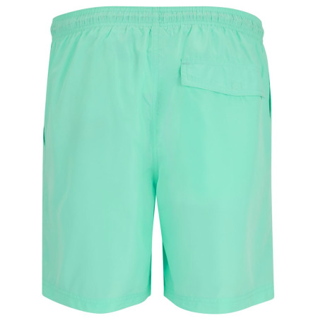 Чоловічі шорти Regatta Mackleyna Swim Short