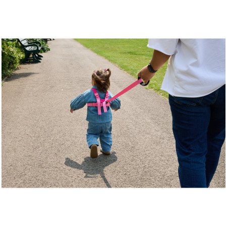 Дитячі віжки LittleLife Toddler Reins Butterfly