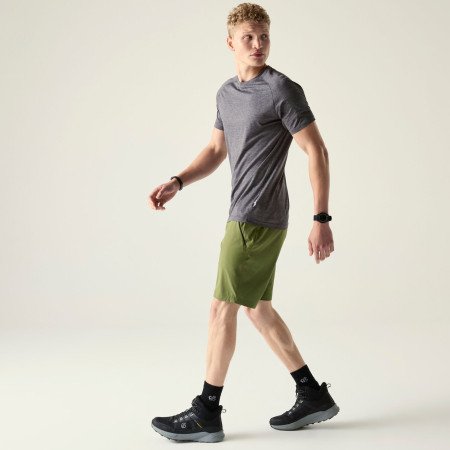 Чоловічі шорти Dare 2b Torrek Lite Short