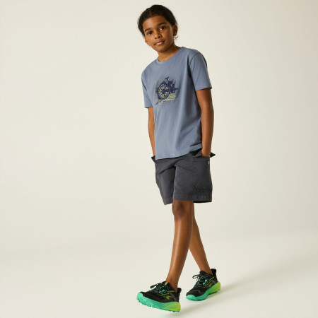 Дитяча футболка Dare 2b Trailbazer III Tee Mercury