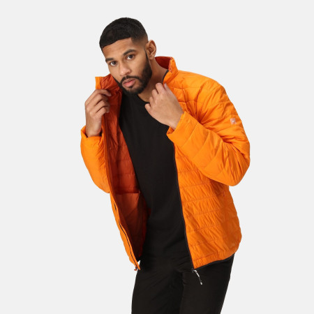 Чоловіча куртка Regatta Hillpack