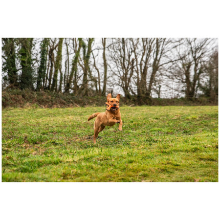 Іграшка для собак Mountain Paws Rubber Throw Dog Toy