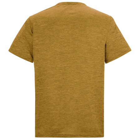 Чоловіча футболка Regatta Fingal Edition