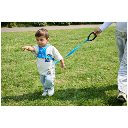 Дитячі віжки LittleLife Toddler Reins Triceratops