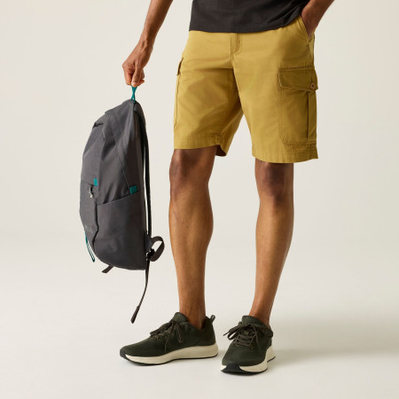 Чоловічі шорти Regatta Ruwan Shorts
