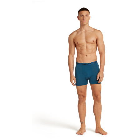 Чоловічі боксери Icebreaker Men Merino 150 Anatomica Boxers