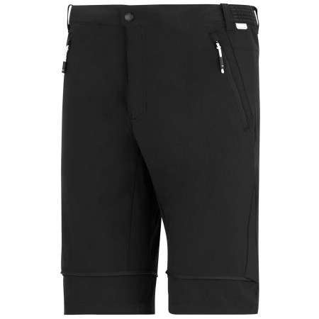 Чоловічі штани Regatta Mountain Z/O Trousers