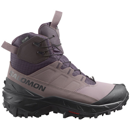 Жіночі зимові черевики Salomon Crosstrak Powder Wp W коричневий Nine Iron / Shark / Phantom