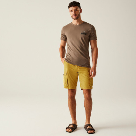 Чоловічі шорти Regatta Shorebay Shorts II
