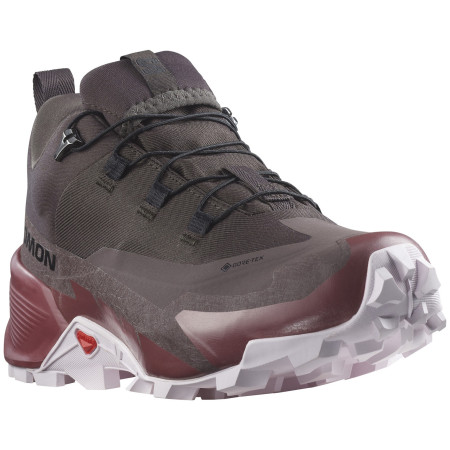 Жіночі трекінгові черевики Salomon Cross Hike 2 Gore-Tex