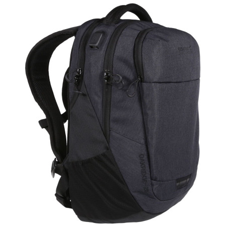 Рюкзак Regatta Oakridge Air 20L