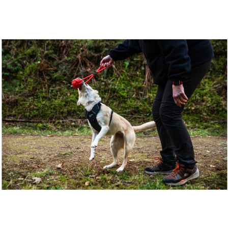 Іграшка для собак Mountain Paws Ball Chew Rope Dog Toy