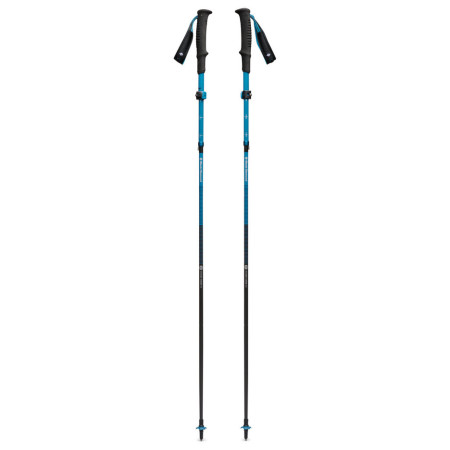 Трекінгові палиці Black Diamond Distance Carbon FLZ Poles