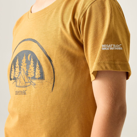 Дитяча футболка Regatta Bosley Wood Brown