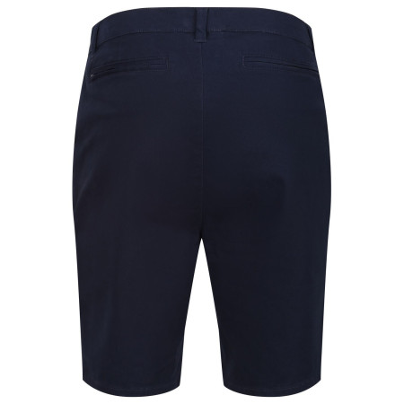 Чоловічі шорти Regatta Sabden Short