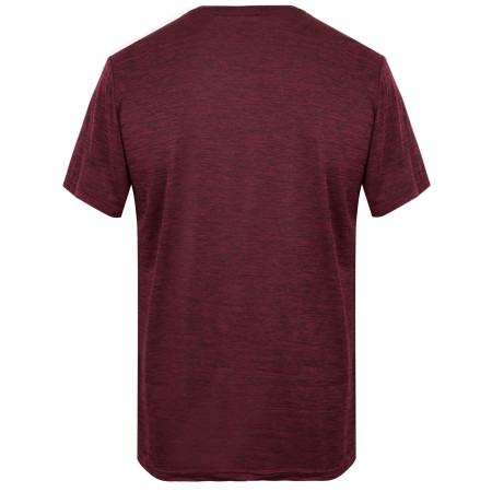 Чоловіча футболка Regatta Fingal Edition