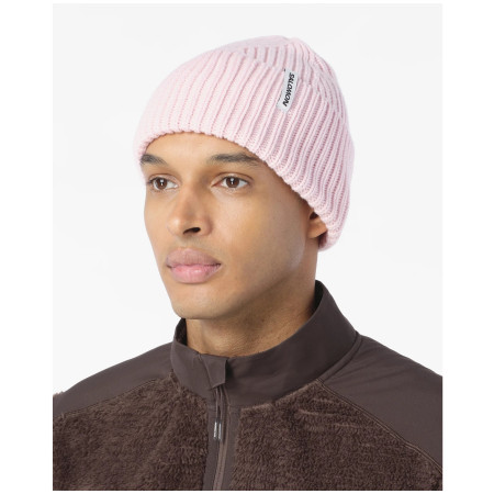 Шапка Salomon Snowbird Beanie U