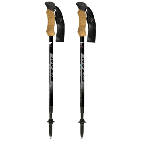 Трекінгові палиці Fizan Compact 4