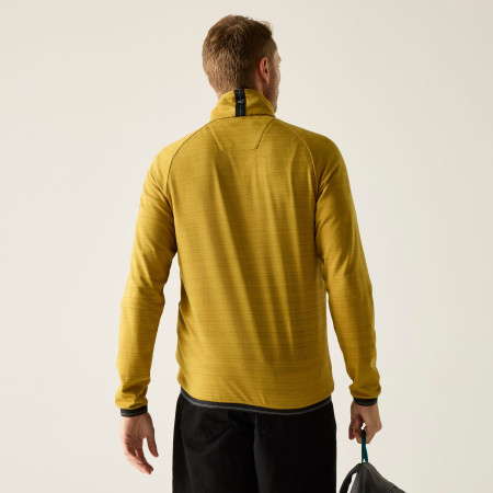 Чоловіча толстовка Regatta Malton