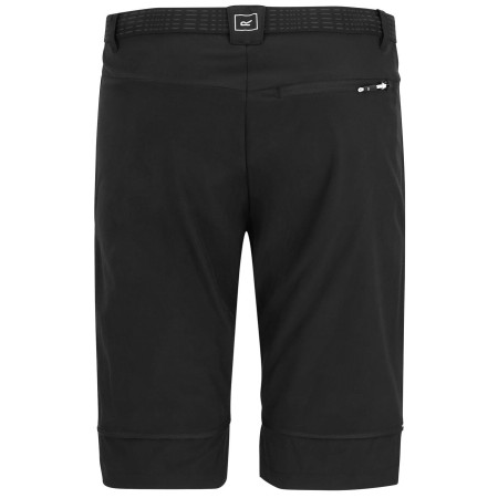 Чоловічі штани Regatta Mountain Z/O Trousers