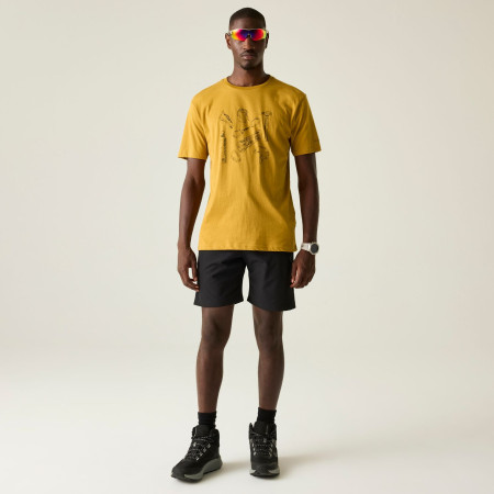 Чоловіча футболка Dare 2b Movement III Tee