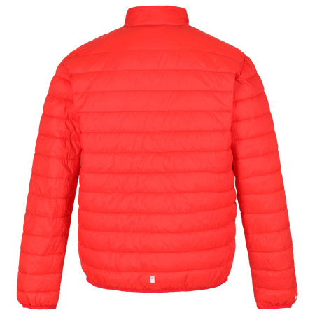 Чоловіча куртка Regatta Hillpack