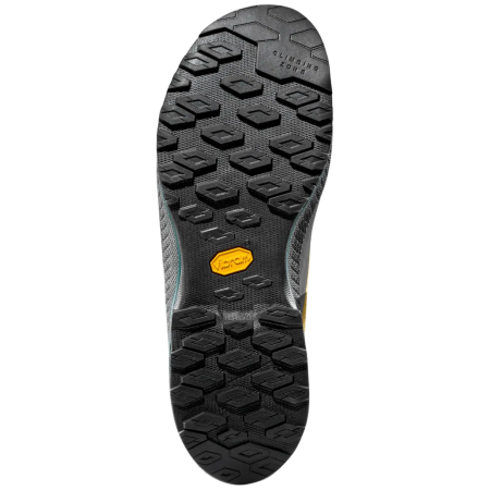 Чоловіче взуття La Sportiva TX4 Evo Gtx
