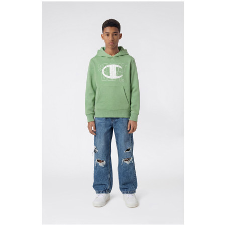 Дитяча толстовка Champion Hooded Sweatshirt B