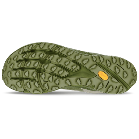 Чоловічі кросівки Altra Timp 6 GTX