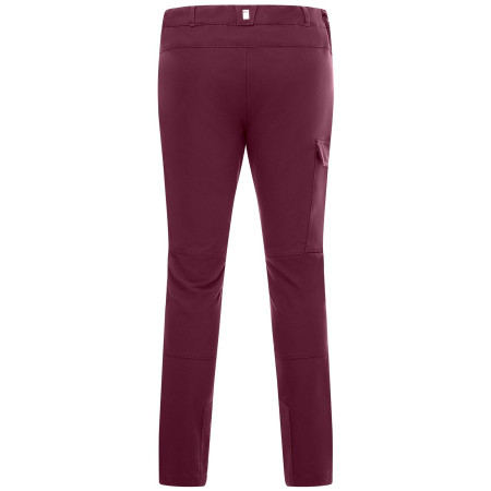 Дитячі штани Regatta Tech Mountain Trousers Fig