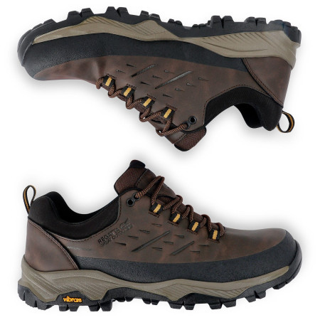 Чоловічі черевики Regatta Blake Low