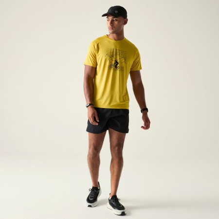 Чоловіча футболка Dare 2b Tech II Tee