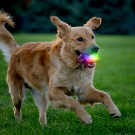 Іграшка для собак Nite Ize GlowStreak Wild LED Ball