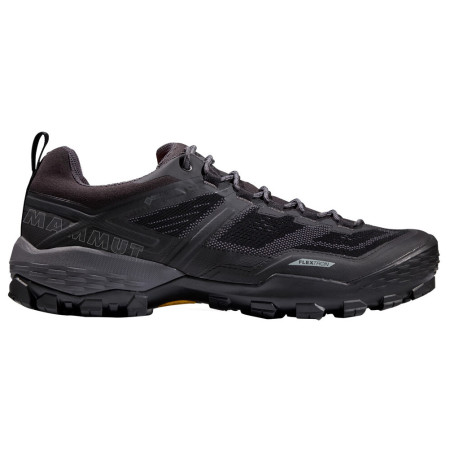 Чоловічі черевики Mammut Ducan Low GTX® Men