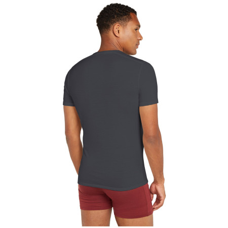 Чоловіча футболка Icebreaker M Anatomica SS Crewe