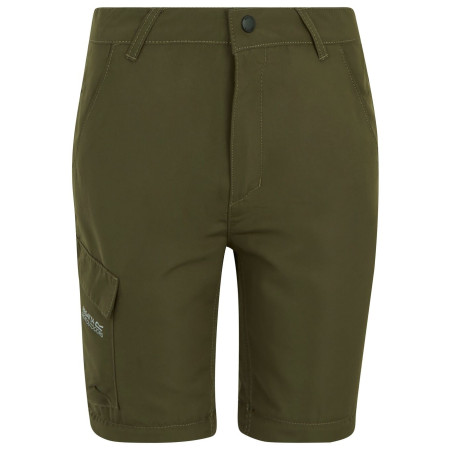 Дитячі штани Regatta Sorcer Z/O Trousers III Treetop