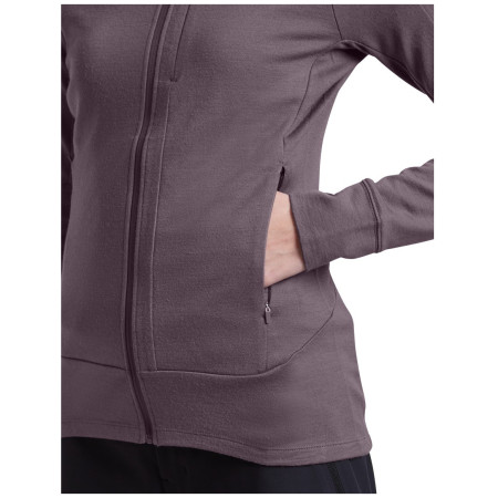 Жіноча кофта Icebreaker Women Merino 260 Quantum IV LS Zip
